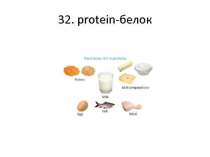 32. protein-белок 