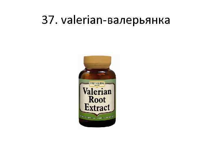 37. valerian-валерьянка 