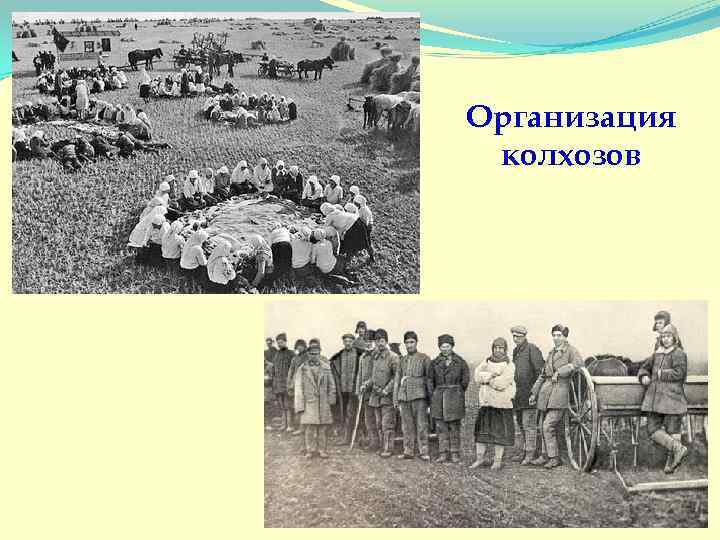Организация колхозов 