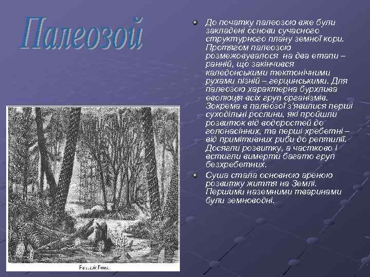 До початку палеозою вже були закладені основи сучасного структурного плану земної кори. Протягом палеозою