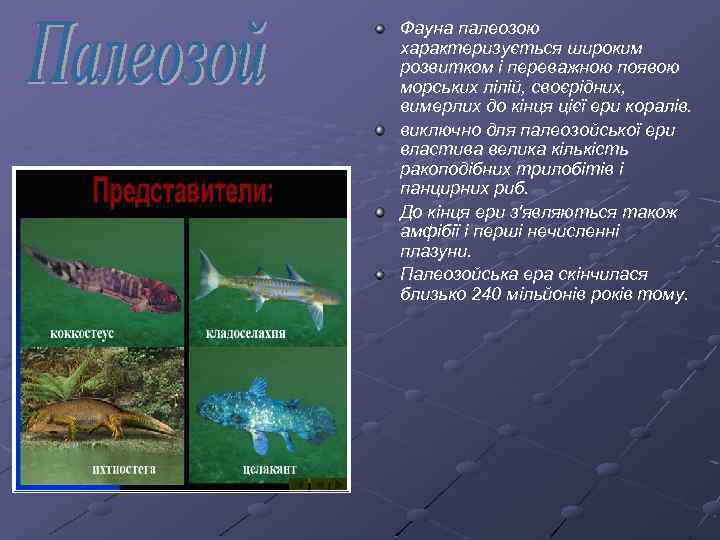 Фауна палеозою характеризується широким розвитком і переважною появою морських лілій, своєрідних, вимерлих до кінця