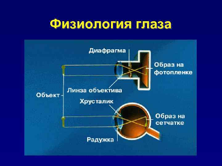 Физиология глаза 