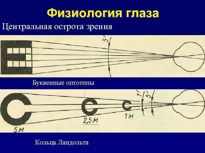 Физиология глаза Центральная острота зрения Буквенные оптотипы Кольца Ландольта 