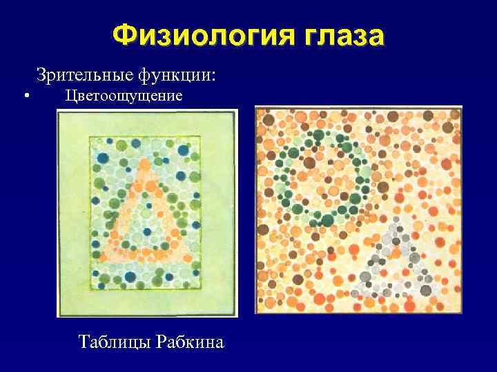 Физиология глаза Зрительные функции: • Цветоощущение Таблицы Рабкина 