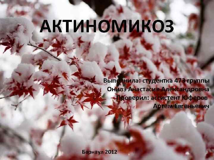 АКТИНОМИКОЗ Выполнила: студентка 473 группы Онилэ Анастасия Александровна Проверил: ассистент Юферов Артем Евгеньевич Барнаул