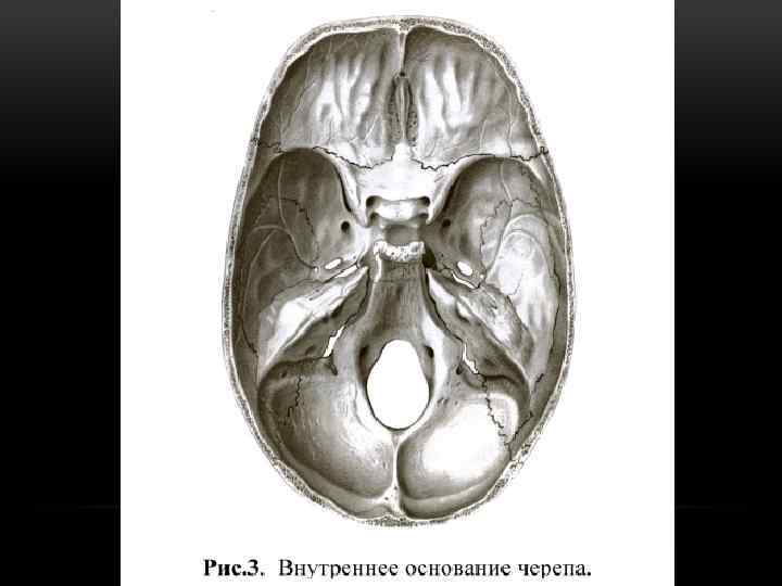 Внутри основания. Внутреннее основание черепа анатомия. Внутреннее основание основание черепа. Внутренняя поверхность основания черепа. Основание черепа внутреннее основание черепа.