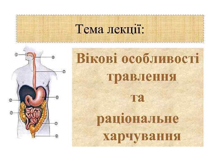 Тема лекції: Вікові особливості травлення та раціональне харчування 