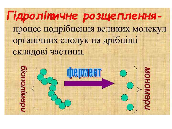 Гідролітичне розщепленняпроцес подрібнення великих молекул органічних сполук на дрібніші складові частини. 