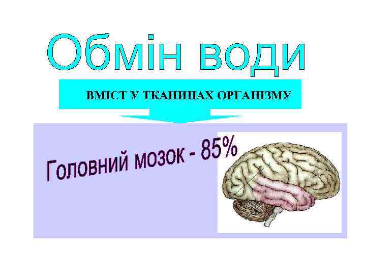 ВМІСТ У ТКАНИНАХ ОРГАНІЗМУ 