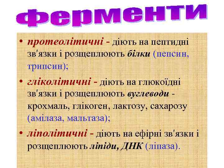  • протеолітичні - діють на пептидні зв′язки і розщеплюють білки (пепсин, трипсин); •
