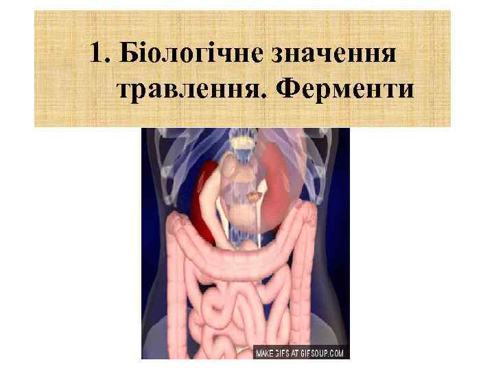 1. Біологічне значення травлення. Ферменти 