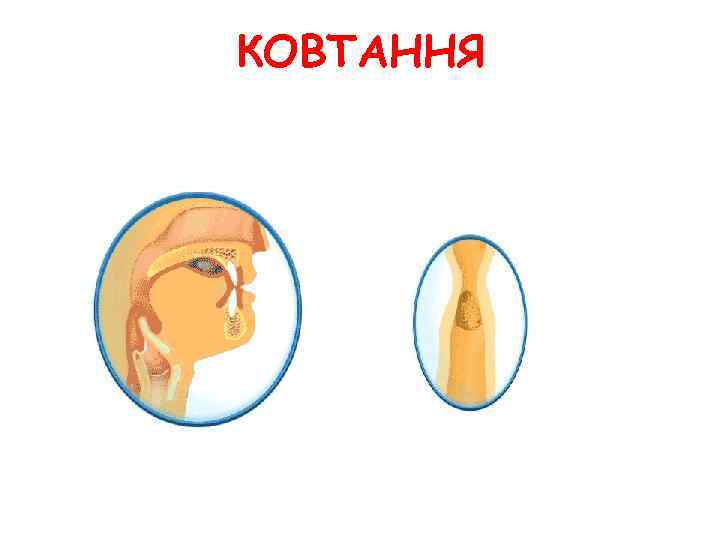 КОВТАННЯ 