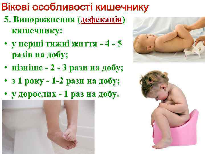 5. Випорожнення (дефекація) кишечнику: • у перші тижні життя - 4 - 5 разів