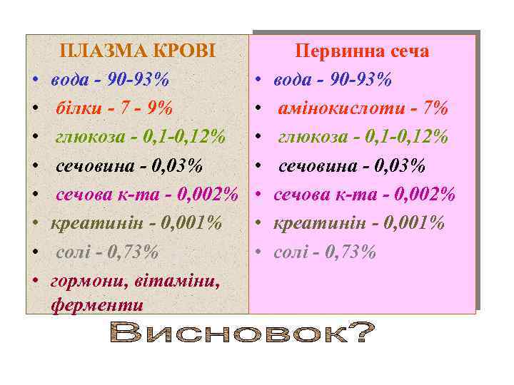  • • ПЛАЗМА КРОВІ вода - 90 -93% білки - 7 - 9%