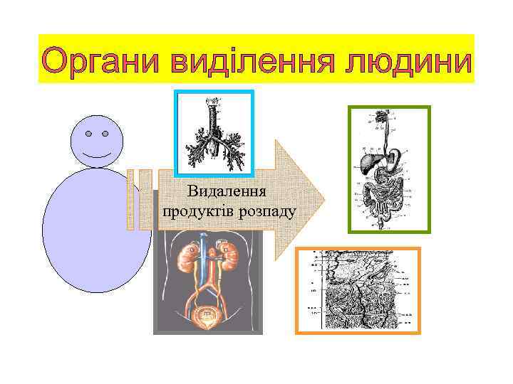 Видалення продуктів розпаду 