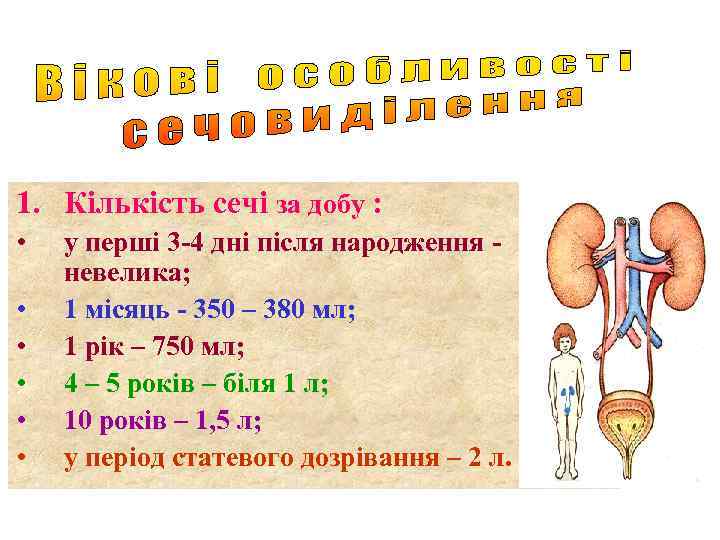 1. Кількість сечі за добу : • • • у перші 3 -4 дні