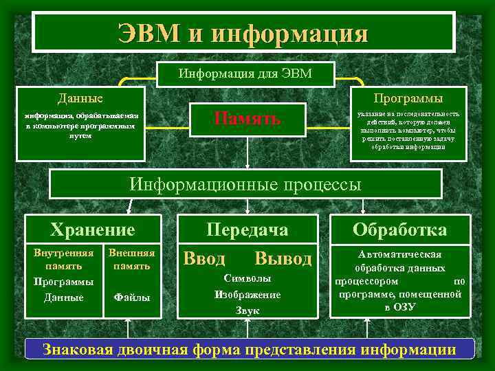 ЭВМ и информация Информация для ЭВМ Данные Программы информация, обрабатываемая в компьютере программным путем