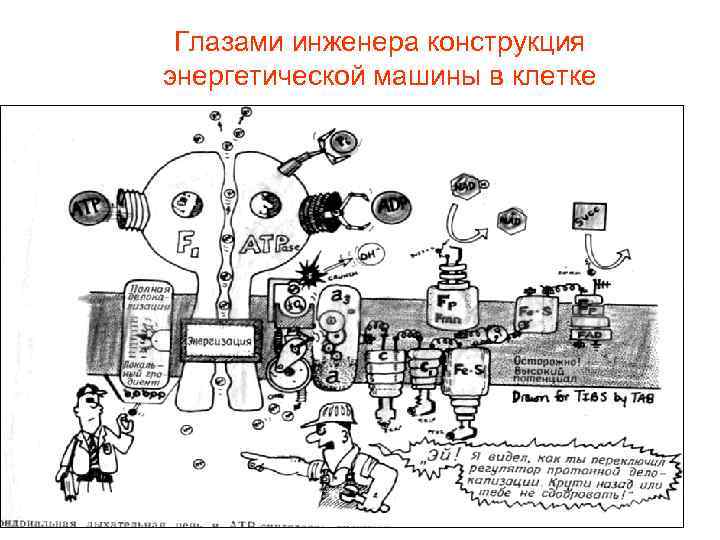 Глазами инженера конструкция энергетической машины в клетке 