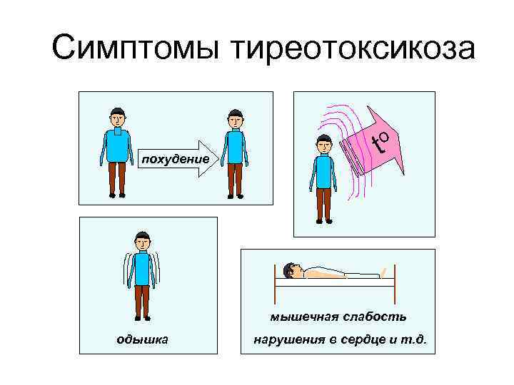 Симптомы тиреотоксикоза o похудение t мышечная слабость одышка нарушения в сердце и т. д.