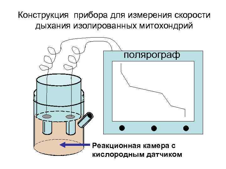 Конструкция прибора для измерения скорости дыхания изолированных митохондрий полярограф Реакционная камера с кислородным датчиком