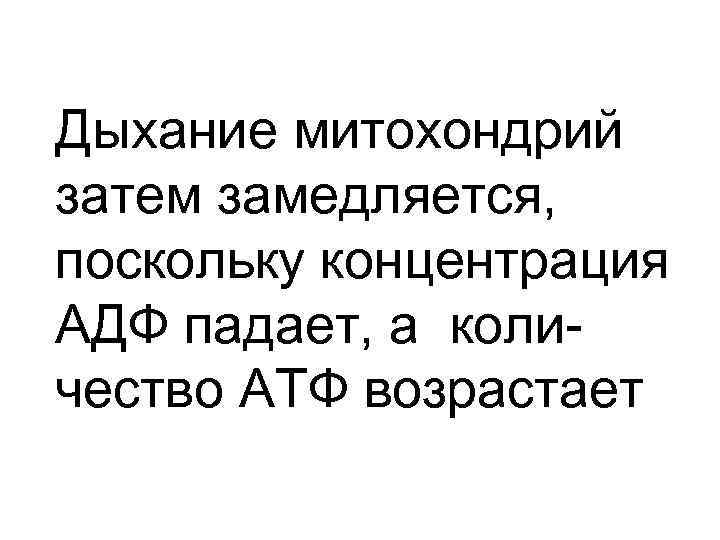 Дыхание митохондрий затем замедляется, поскольку концентрация АДФ падает, а количество АТФ возрастает 