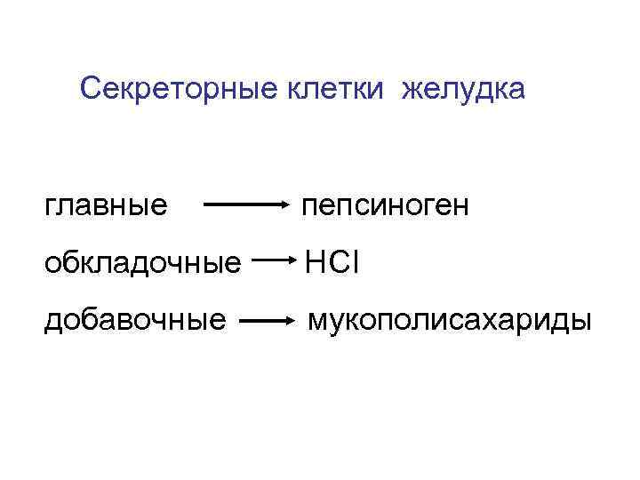 Секреторные клетки желудка главные пепсиноген обкладочные НCI добавочные мукополисахариды 