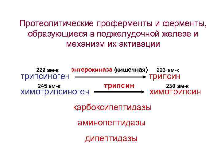 Протеолитические ферменты поджелудочной. Механизм активации протеолитических ферментов. Механизм активации проферментов. Протеолитические ферменты препараты. Проферменты и их активаторы.