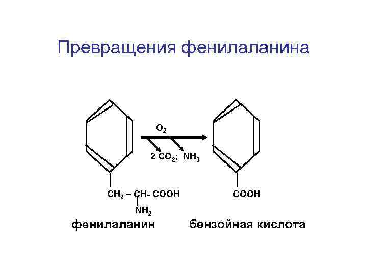 Превращения фенилаланина O 2 2 СО 2; NH 3 СН 2 – СН- СООН