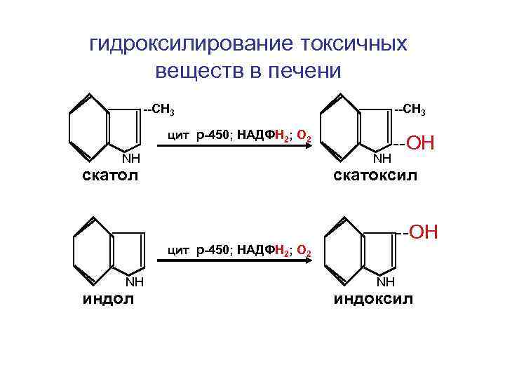 гидроксилирование токсичных веществ в печени --СН 3 цит р-450; НАДФН 2; О 2 NН