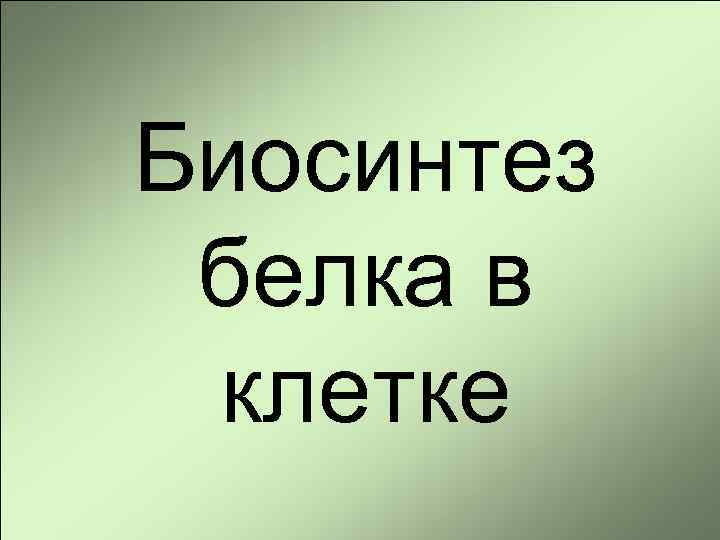 Биосинтез белка в клетке 