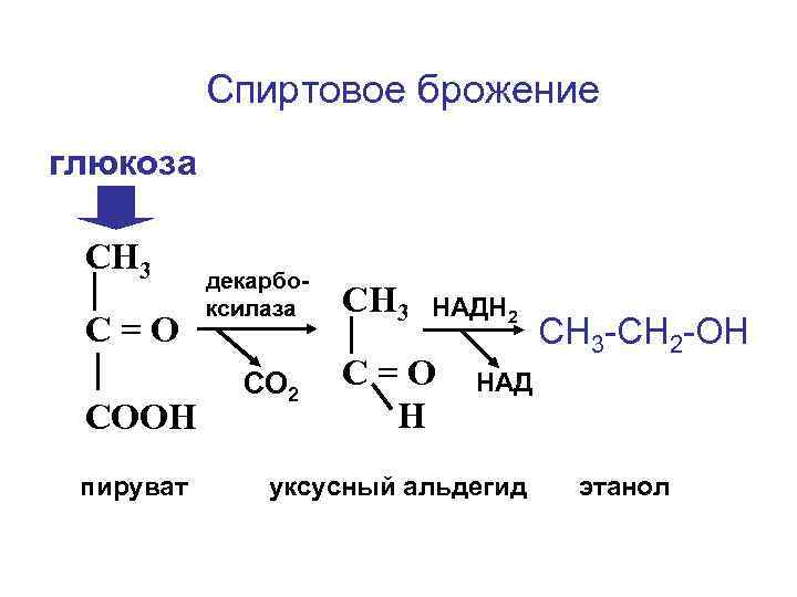 Глюкоза в этанол реакция. Продукты реакции спиртового брожения Глюкозы. Спиртовое броденре гл.козы. Схема спиртового брожения Глюкозы. Спиртовое брожение Глюкозы реакция.