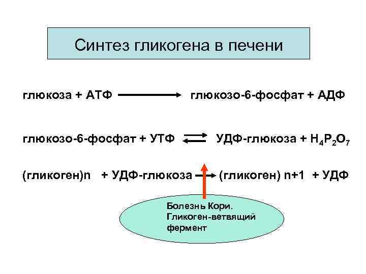 Глюкоза в печени