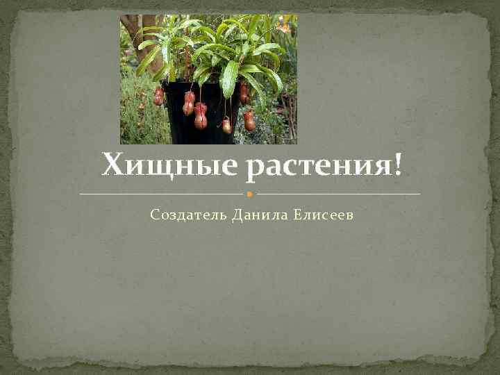 Хищные растения! Создатель Данила Елисеев 