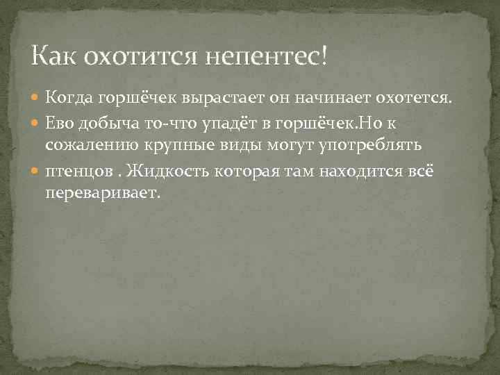 Как охотится непентес! Когда горшёчек вырастает он начинает охотется. Ево добыча то-что упадёт в
