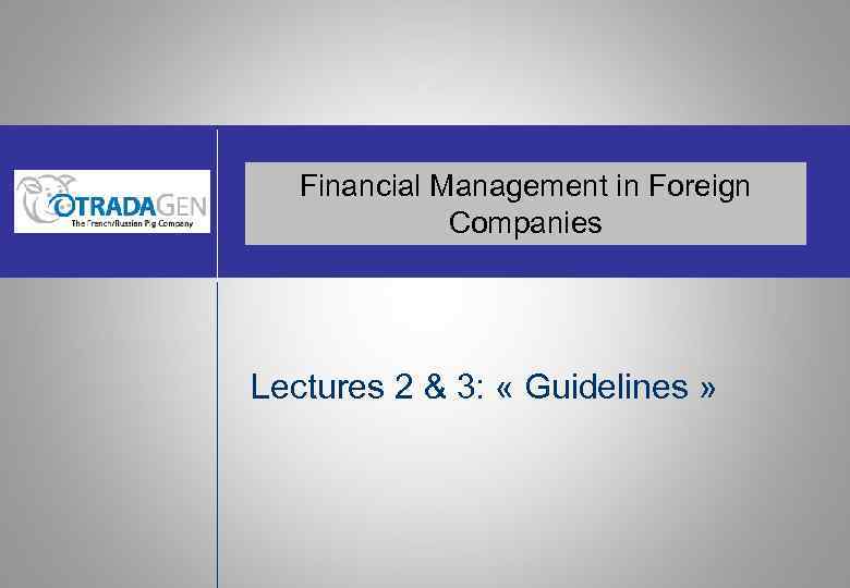 Financial Management in Foreign Companies Lectures 2 & 3: « Guidelines » 