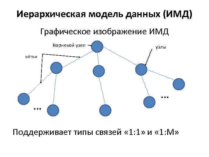 Иерархическая модель данных (ИМД) Графическое изображение ИМД Корневой узел узлы ветви … … Поддерживает