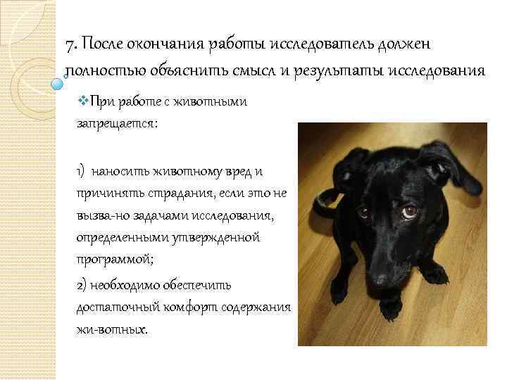 7. После окончания работы исследователь должен полностью объяснить смысл и результаты исследования v. При