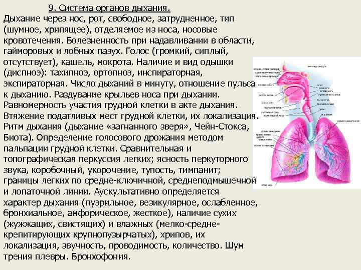 9. Система органов дыхания. Дыхание через нос, рот, свободное, затрудненное, тип (шумное, хрипящее), отделяемое