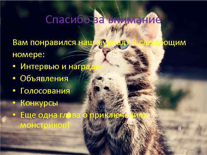Спасибо за внимание Вам понравился наш журнал? В следующим номере: • Интервью и награды