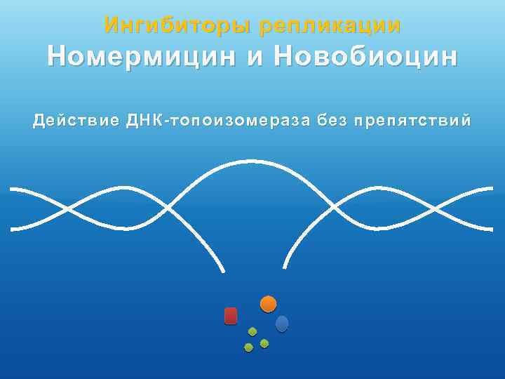 Ингибиторы репликации Номермицин и Новобиоцин Действие ДНК-топоизомераза без препятствий 