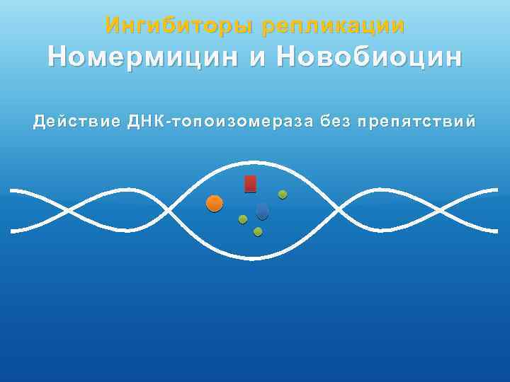 Ингибиторы репликации Номермицин и Новобиоцин Действие ДНК-топоизомераза без препятствий 