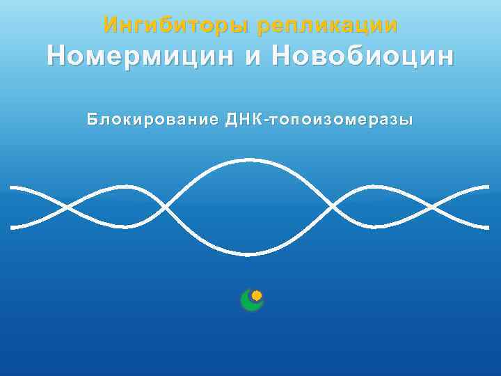 Ингибиторы репликации Номермицин и Новобиоцин Блокирование ДНК-топоизомеразы 