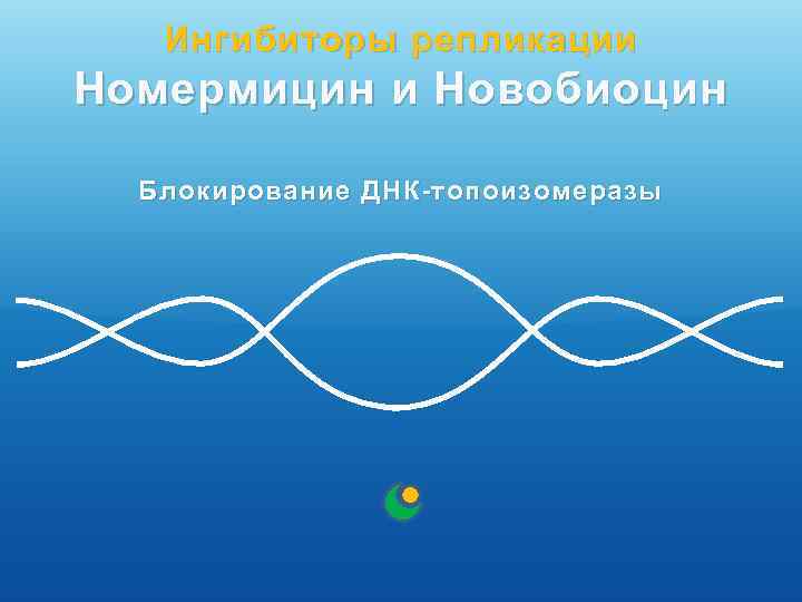 Ингибиторы репликации Номермицин и Новобиоцин Блокирование ДНК-топоизомеразы 