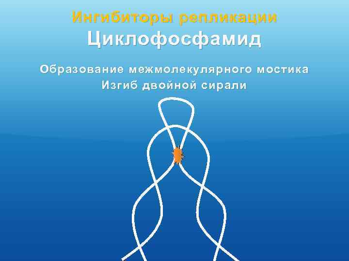 Ингибиторы репликации Циклофосфамид Образование межмолекулярного мостика Изгиб двойной сирали 