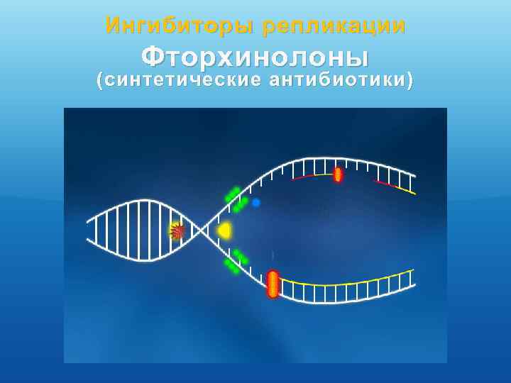 Ингибиторы репликации Фторхинолоны (синтетические антибиотики) 