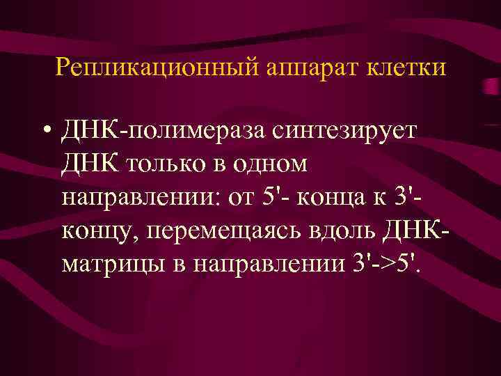 Репликационный аппарат клетки • ДНК-полимераза синтезирует ДНК только в одном направлении: от 5'- конца