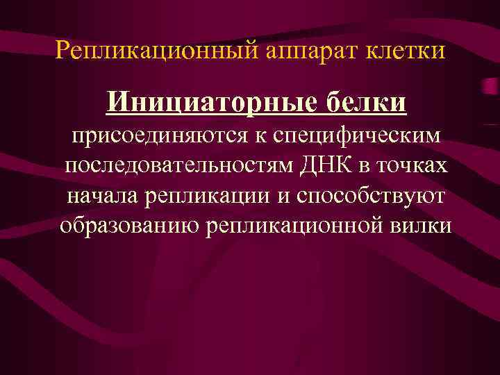 Репликационный аппарат клетки Инициаторные белки присоединяются к специфическим последовательностям ДНК в точках начала репликации