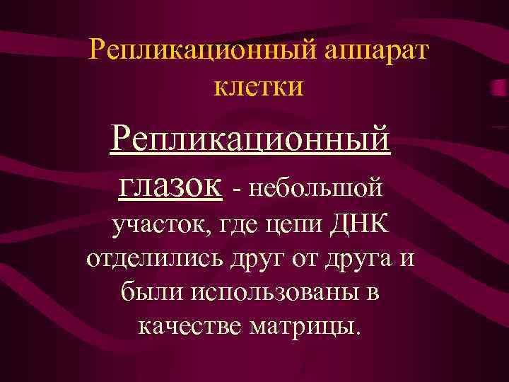 Репликационный аппарат клетки Репликационный глазок - небольшой участок, где цепи ДНК отделились друг от