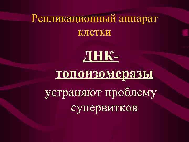 Репликационный аппарат клетки ДНКтопоизомеразы устраняют проблему супервитков 