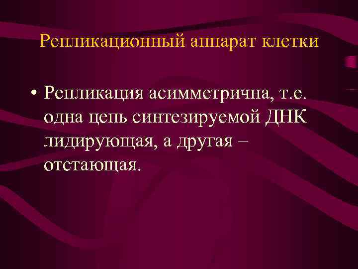 Репликационный аппарат клетки • Репликация асимметрична, т. е. одна цепь синтезируемой ДНК лидирующая, а